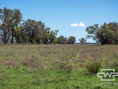 9699 Bruxner Highway, Bonshaw