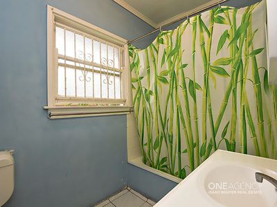 15 Parakeet St, Inala