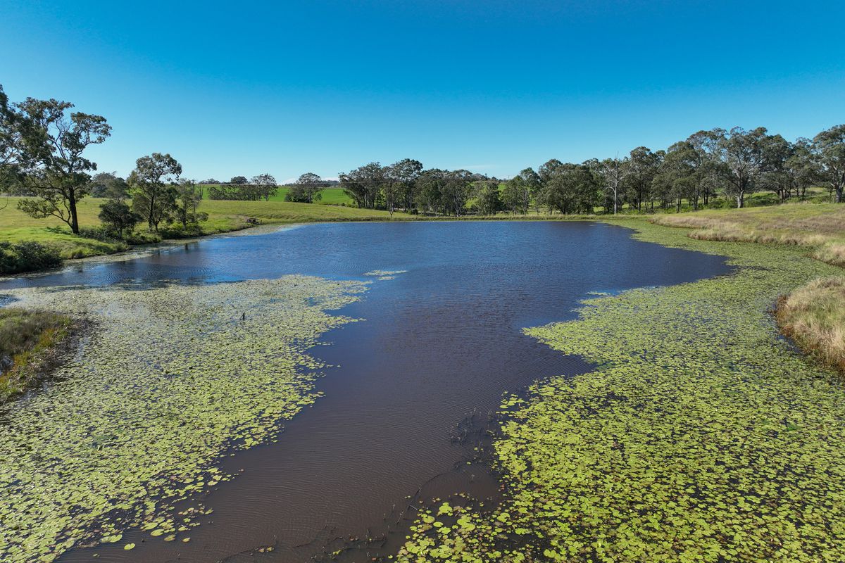 Lot 6, Gloucester Road, Killawarra