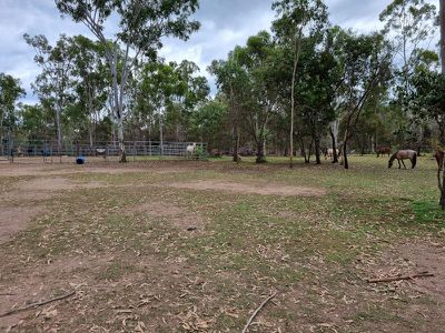 1543 MEMERAMBI BARKERS CREEK Road, Wattle Camp
