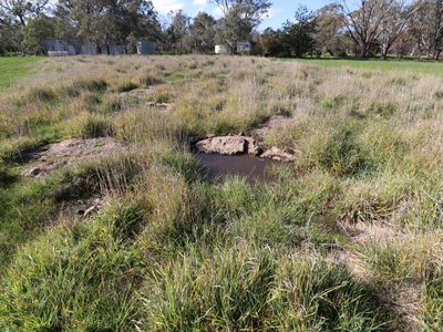 Lot 17 Lot 17 Blacksmiths Lane, Mia Mia