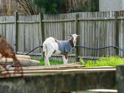 2326 State Highway 16, Helensville