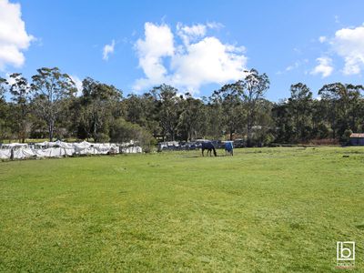 390 Bruce Crescent, Wallarah