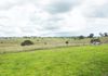 1321 Peabody Road, Molong
