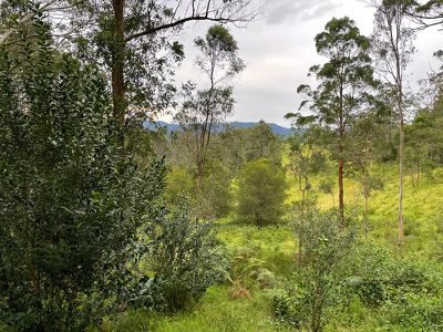 689 Stony Chute Road, Stony Chute