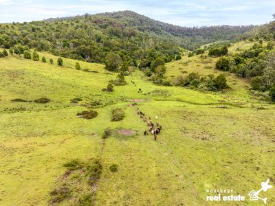 1024 Pappinbarra Road, Pappinbarra