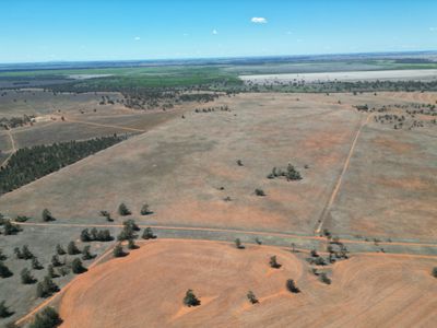 Lot  LOT 1 LP135805, 1  Cocketgedong Road, Urana