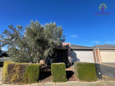 1 Rodeo Grove, Point Cook