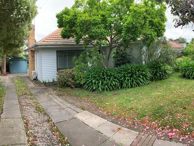 19 Packham Street, Box Hill North