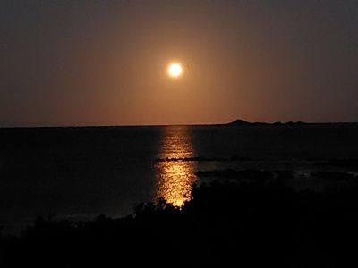 101 Irby Boulevard, Sisters Beach