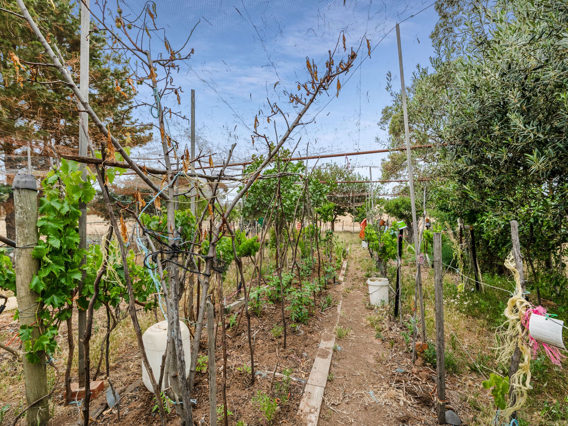 820 Derrinal-Crosbie Road, Heathcote