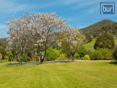 1657 Kiewa Valley Highway, Kiewa