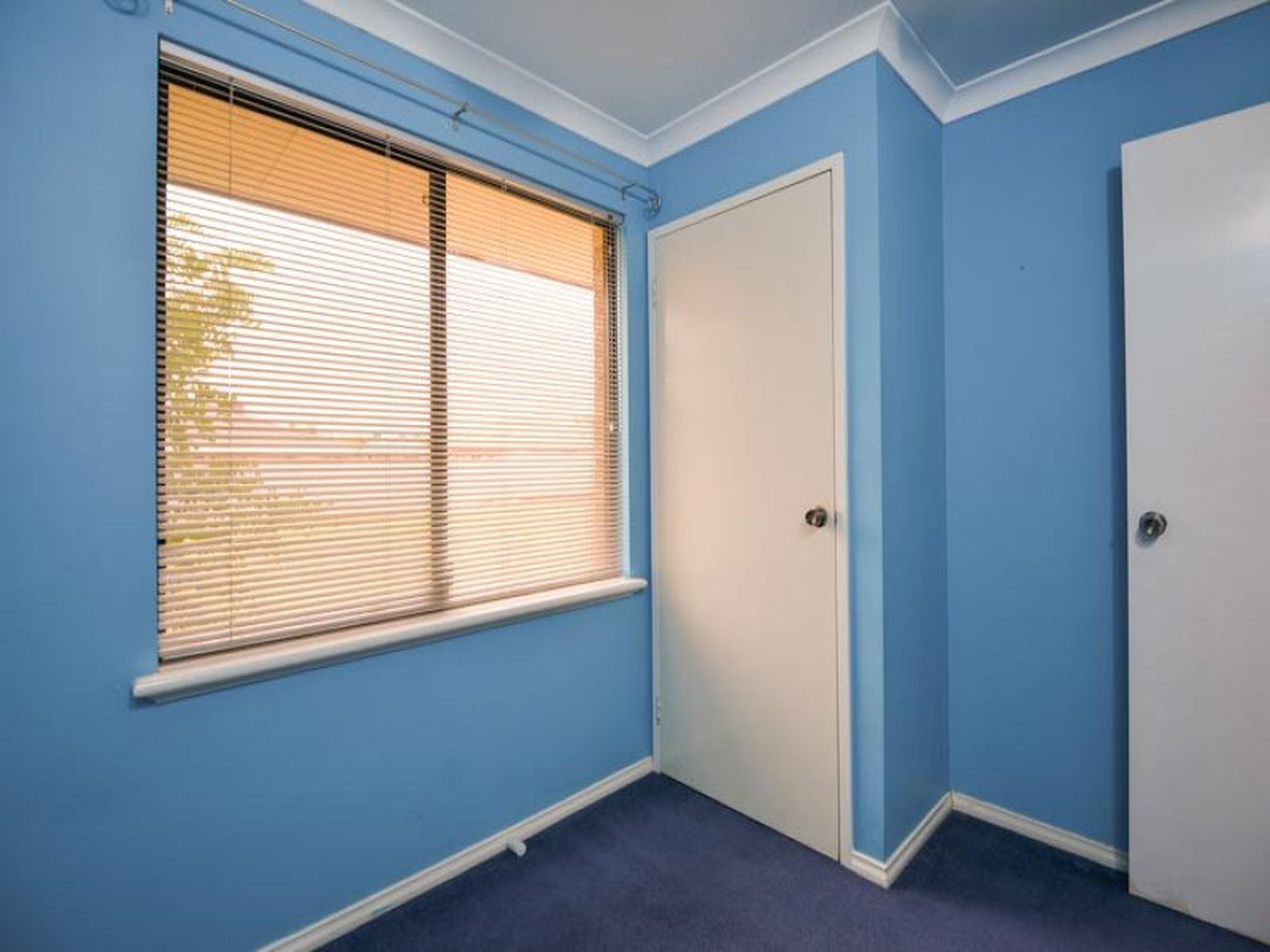 5 Sobota Street, Somerville