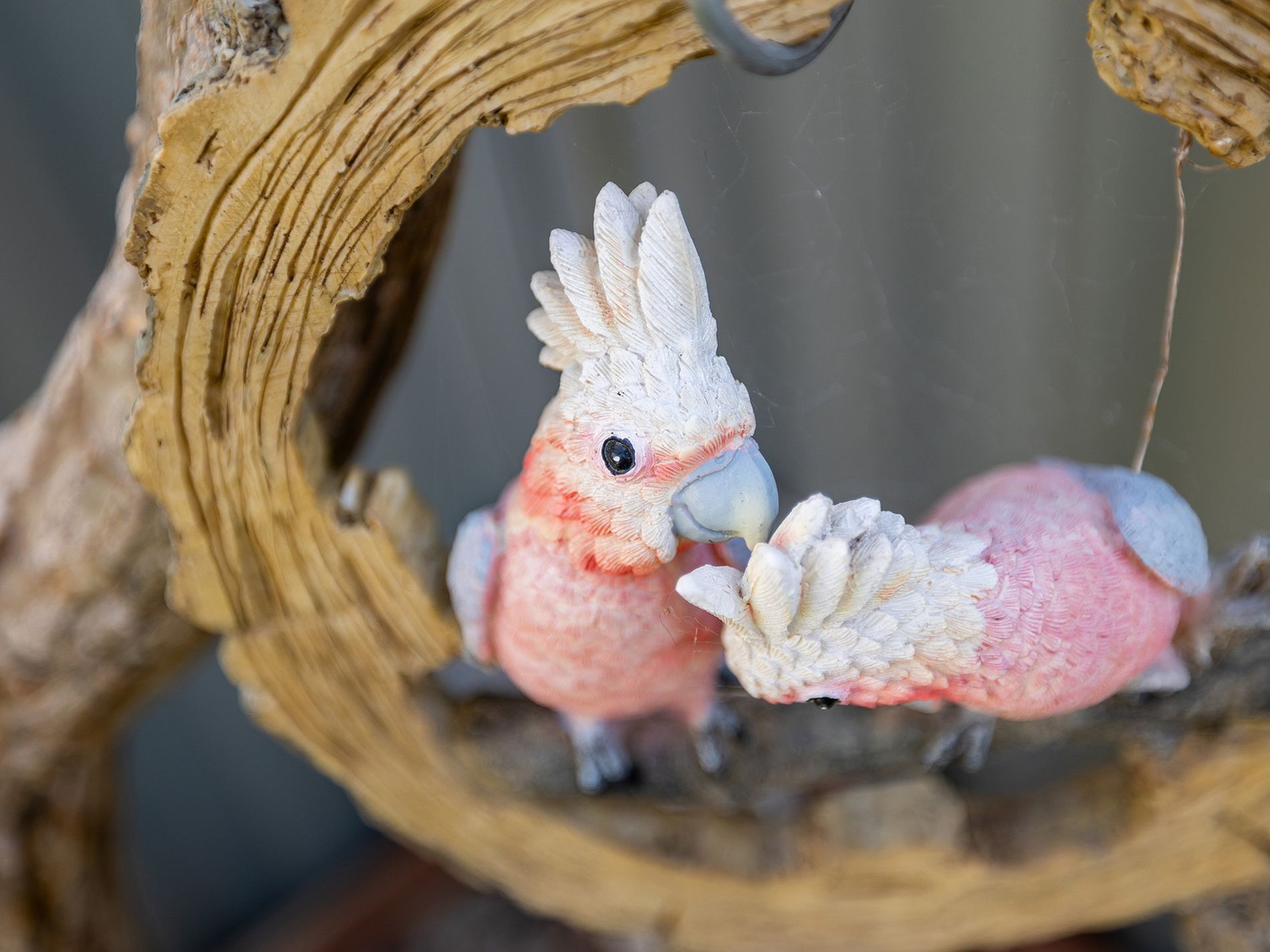 29 Liberation Street, Harrisdale