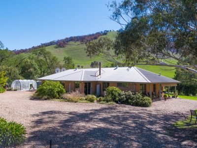 4974 River Road, Talmalmo