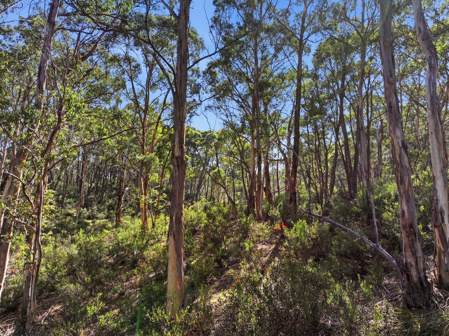 329 Charleys Forest Road, Braidwood