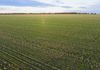 515 Napier Road, Dalyup