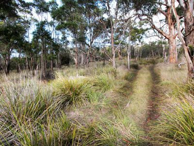 Lot 1 & Lot 2 Jacinda Drive, Gardners Bay