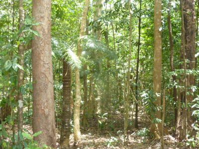 Lot 11 Isabella Mcivor Road, Hope Vale