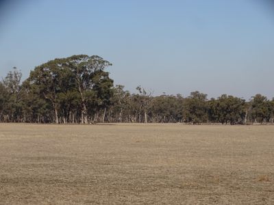 351 Tattersalls Lane, Moormbool West