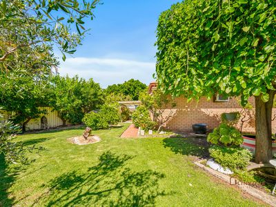 12A Palisade Lane, Willetton