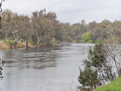 Snowdons Road, Bonegilla