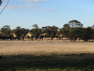 140 Channel Inlet Road, Murchison
