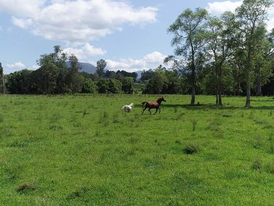 32 Morton Road, Nimbin