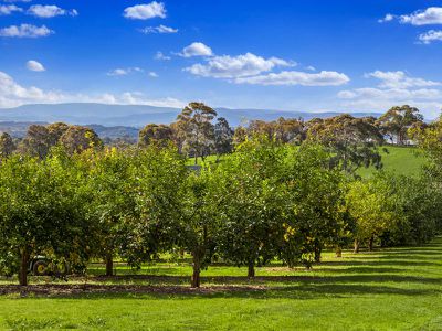 586 Kangaroo Ground St Andrews Road, Panton Hill