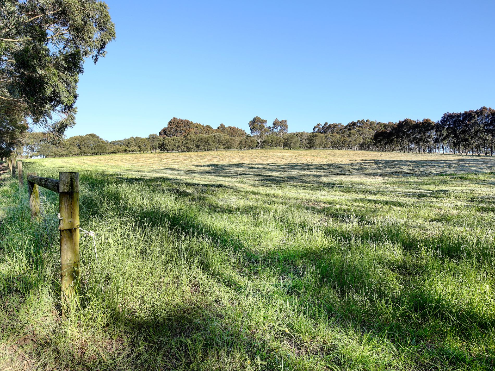 29 Rodert Road, Meadows