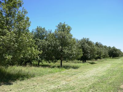 Lot 6 Cook Road, Glass House Mountains