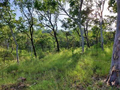 2554 Mulligan Highway Road, Cooktown