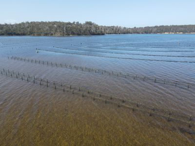 100 Cockle Creek Road, Recherche