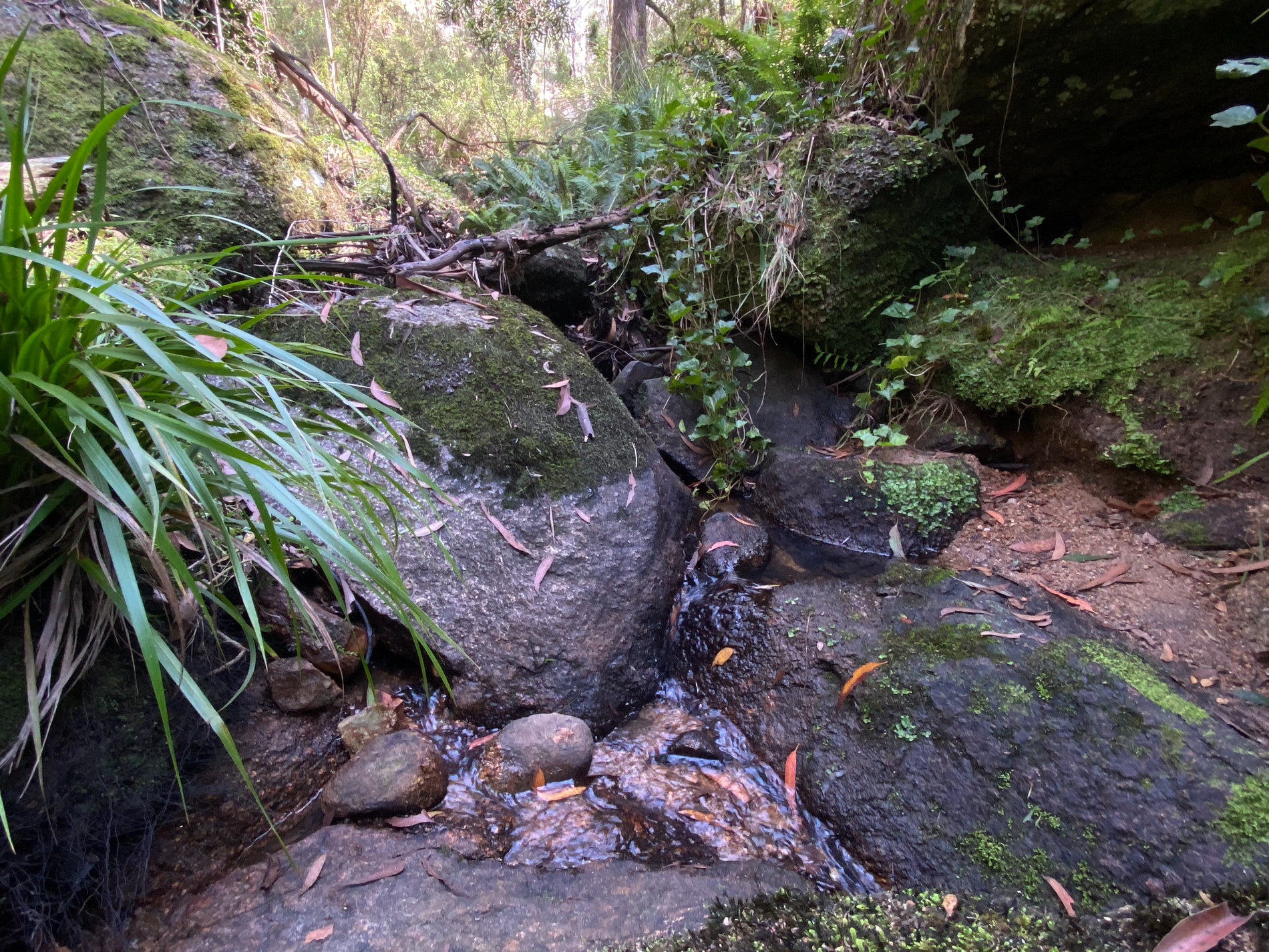 124 Gumms Road, Harolds Cross