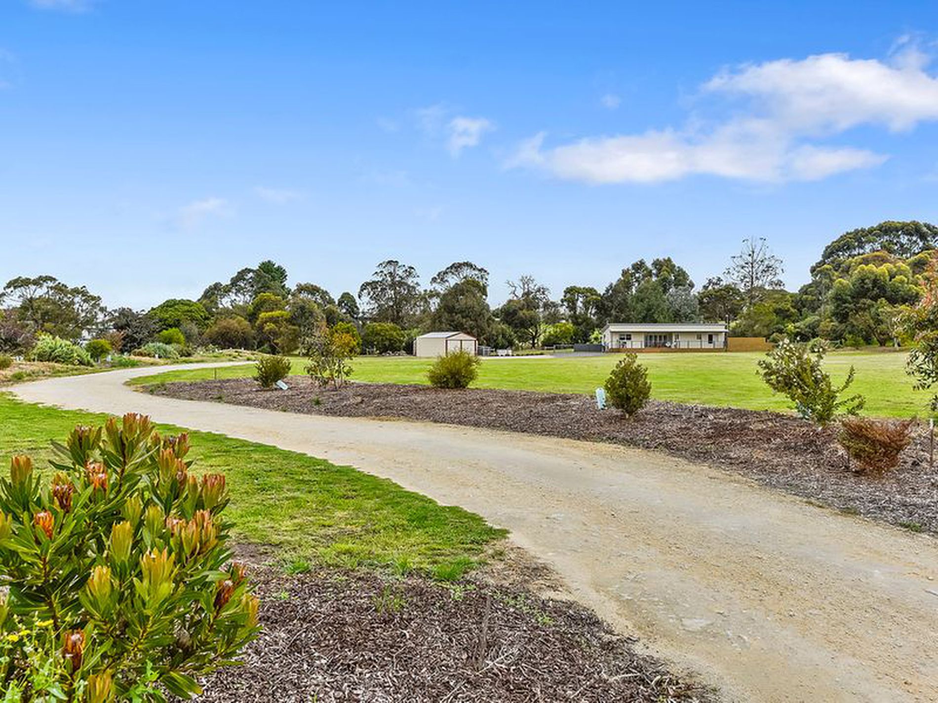 183 Williams Road, Millicent