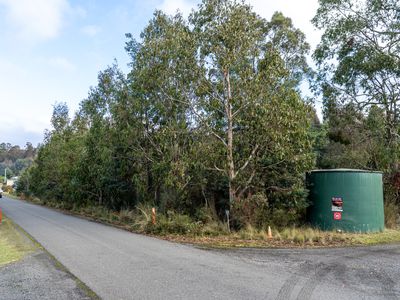 256 Bradys Lake Road, Bradys Lake