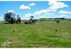 686 Vittoria Road, Millthorpe