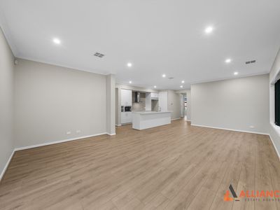 19 Cheddar Street, Donnybrook