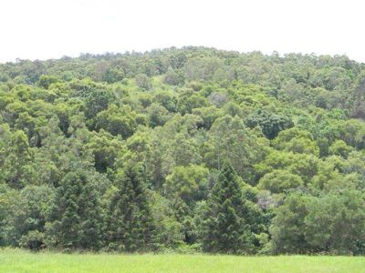 Maleny