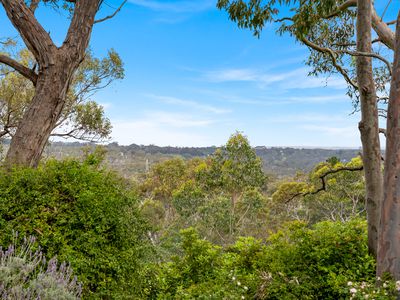 264 Ackland Hill Road, Coromandel East