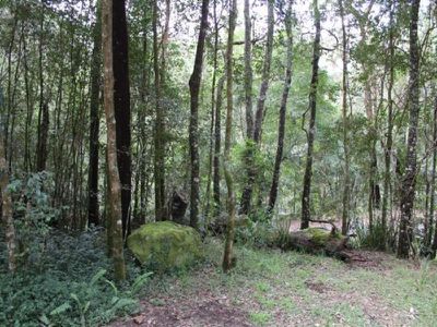 Lot 322 / 3 Lot 322/3 Upper Kangaroo River Road, Kangaroo Valley