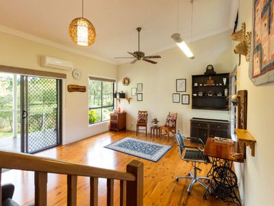 Blackbutt