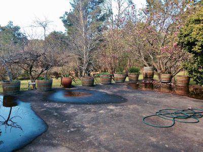 F2480 Princes Highway, Termeil