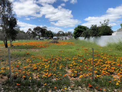 34 Market Street, Newbridge