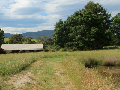 Bonnie Doon