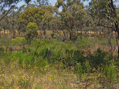 999 Burkes Flat - McIntyre Road, Mcintyre