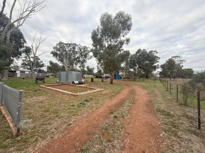 L6 Kadina Street, Alectown