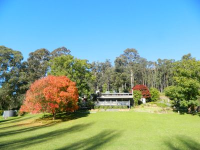 1625 Lower Towamba Road, Kiah