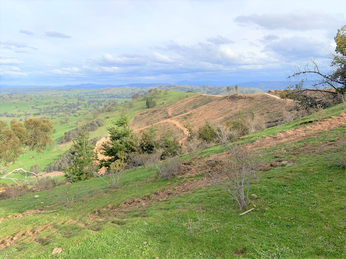 Lot 1, 77 Cliff Road, Bonnie Doon