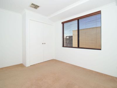 5 Diamondbird  , Baldivis
